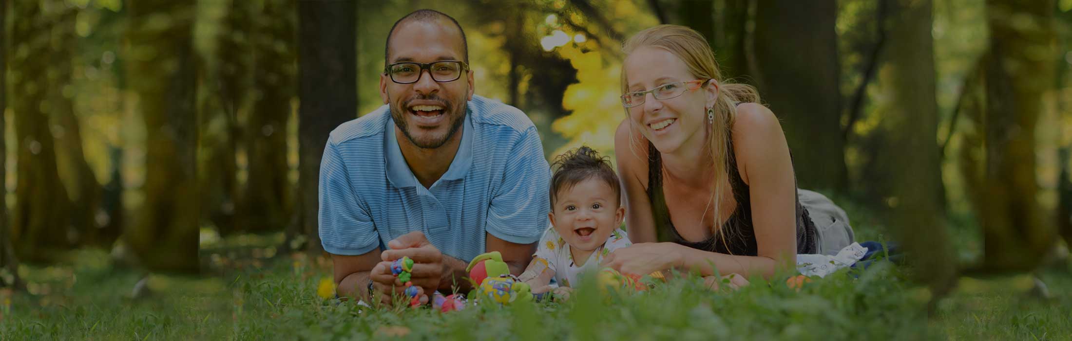 FARBER Debt Solutions - Consumer Proposal & Licensed Insolvency Trustee logo