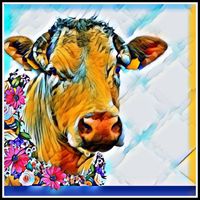 Bullnose Tile & Stone Ltd logo