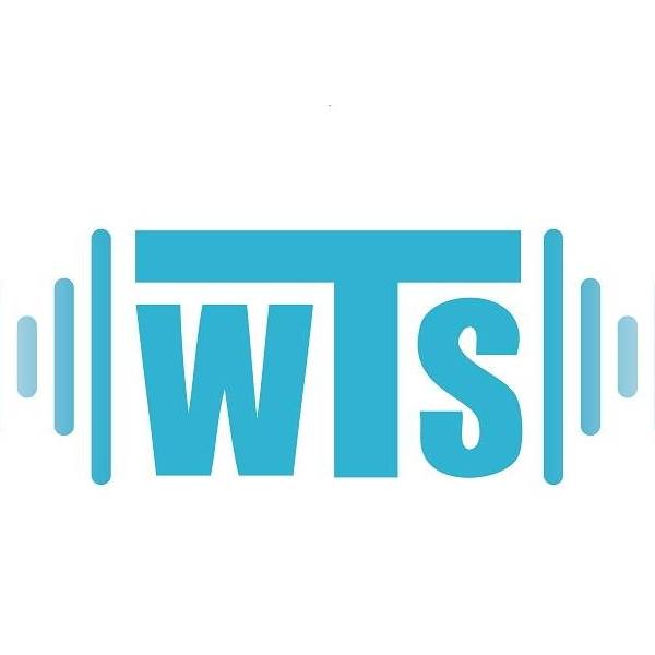 Wts Wireless Technical Services Inc logo