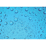 West-Pro Plumbing logo
